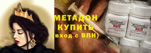 прущие грибы Михайловск