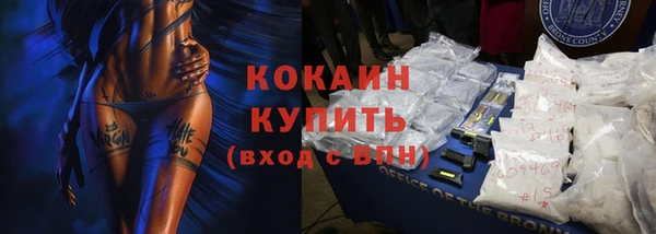 прущие грибы Михайловск
