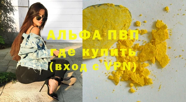 прущие грибы Михайловск