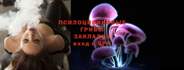 прущие грибы Михайловск