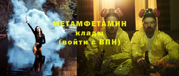 прущие грибы Михайловск