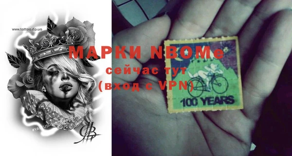прущие грибы Михайловск