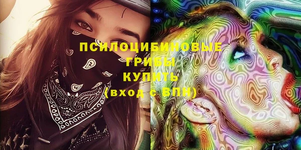 МДПВ Мегион